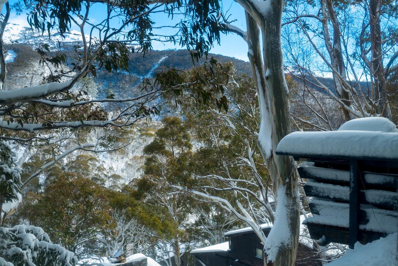 Pure Chalet Thredbo Esterno foto