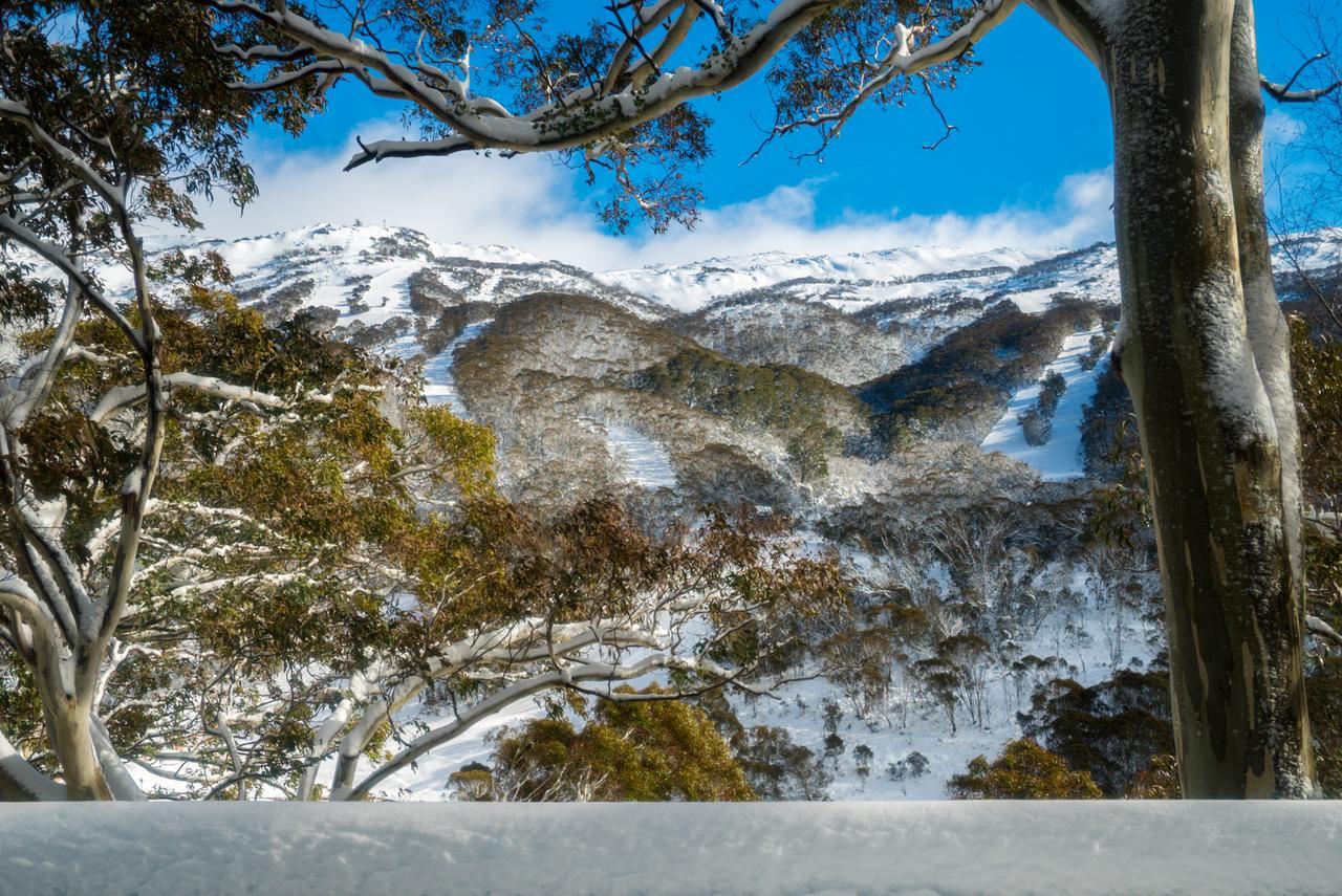 Pure Chalet Thredbo Esterno foto