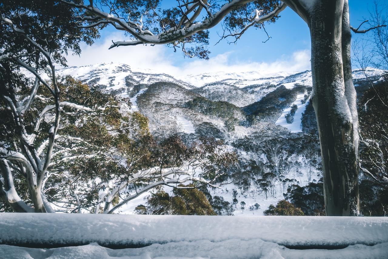 Pure Chalet Thredbo Esterno foto