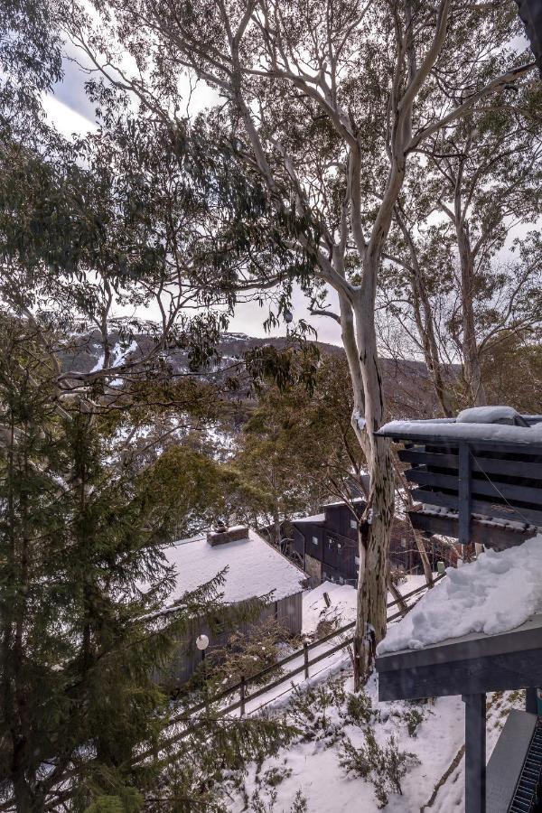 Pure Chalet Thredbo Esterno foto