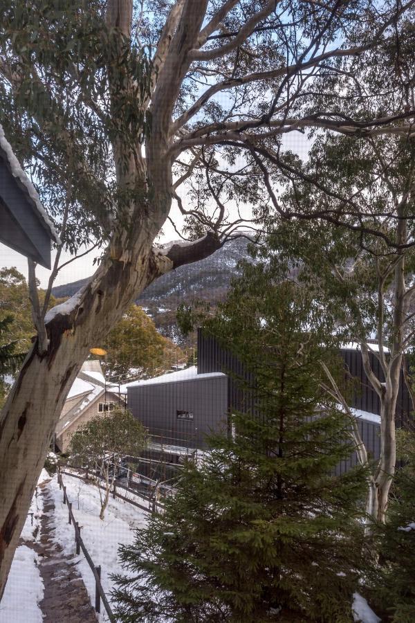 Pure Chalet Thredbo Esterno foto